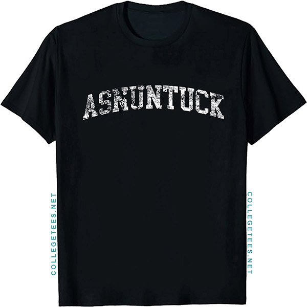 Asnuntuck Arch Vintage Retro College Athletic Sports T-Shirt