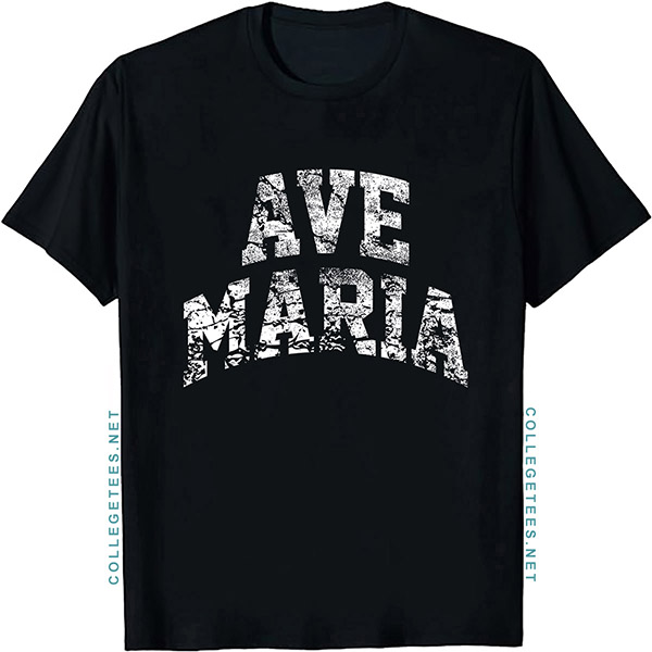 Ave Maria Arch Vintage Retro College Athletic Sports T-Shirt