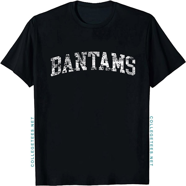 Bantams Arch Vintage Retro College Athletic Sports T-Shirt