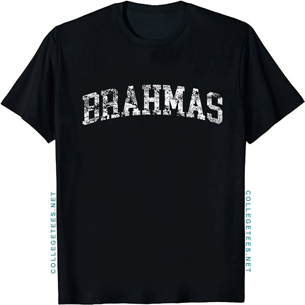 Brahmas Arch Vintage Retro College Athletic Sports T-Shirt
