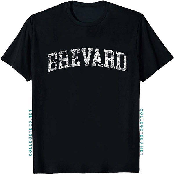 Brevard Arch Vintage Retro College Athletic Sports T-Shirt