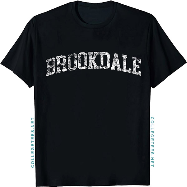 Brookdale Arch Vintage Retro College Athletic Sports T-Shirt