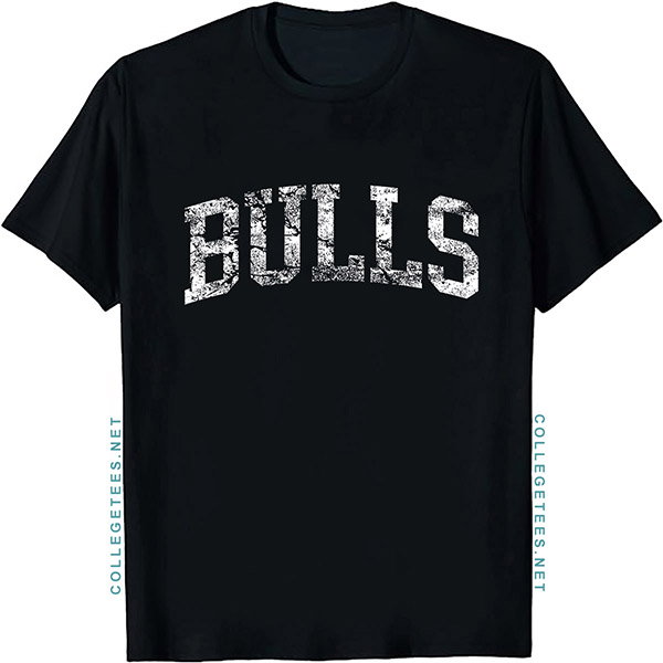 Bulls Arch Vintage Retro College Athletic Sports T-Shirt