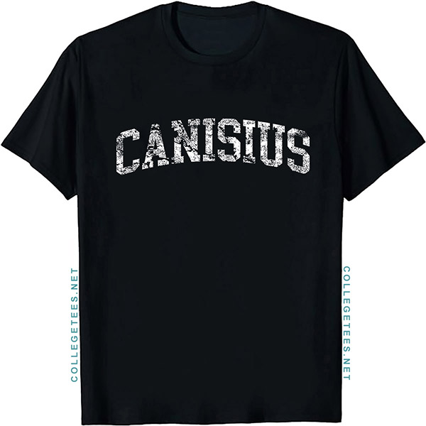 Canisius Arch Vintage Retro College Athletic Sports T-Shirt