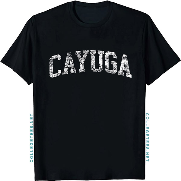 Cayuga Arch Vintage Retro College Athletic Sports T-Shirt
