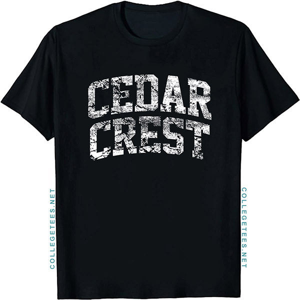 Cedar Crest Arch Vintage Retro College Athletic Sports T-Shirt