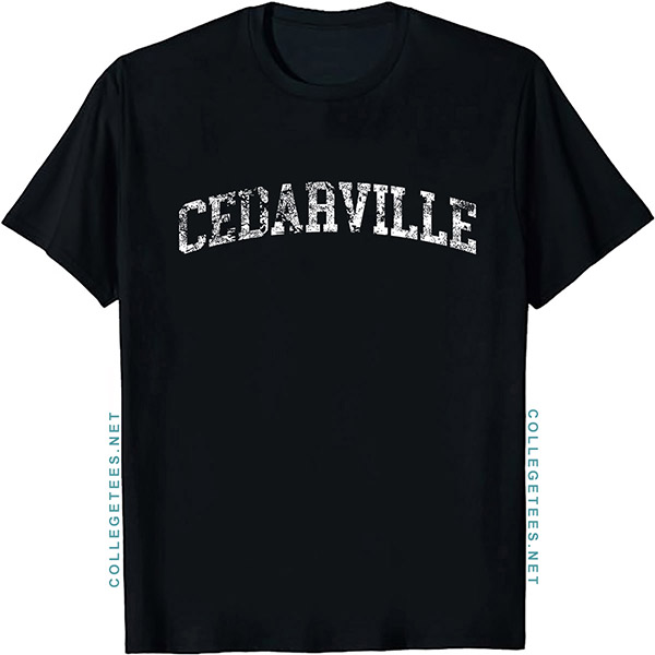 Cedarville Arch Vintage Retro College Athletic Sports T-Shirt