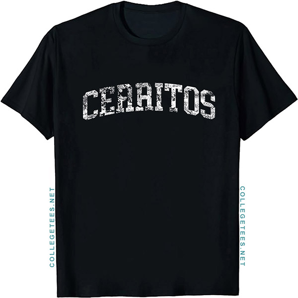 Cerritos Arch Vintage Retro College Athletic Sports T-Shirt