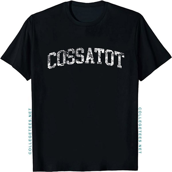 Cossatot Arch Vintage Retro College Athletic Sports T-Shirt