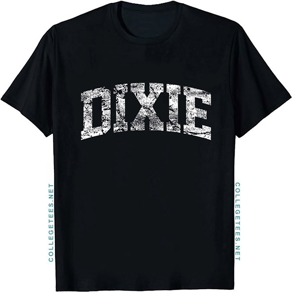 Dixie Arch Vintage Retro College Athletic Sports T-Shirt