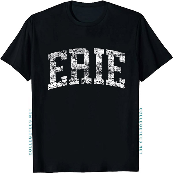 Erie Arch Vintage Retro College Athletic Sports T-Shirt