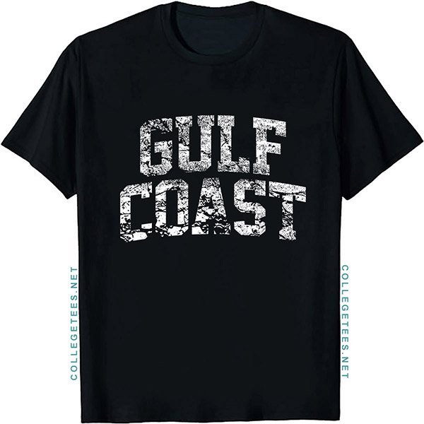 Gulf Coast Arch Vintage Retro College Athletic Sports T-Shirt