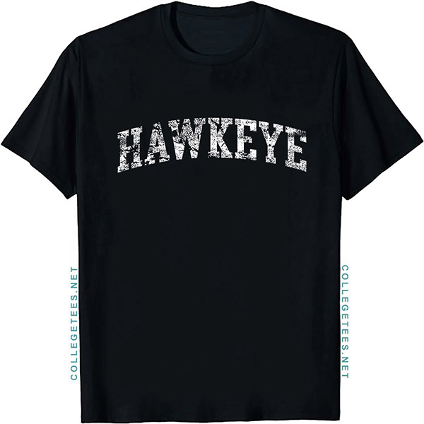 Hawkeye Arch Vintage Retro College Athletic Sports T-Shirt