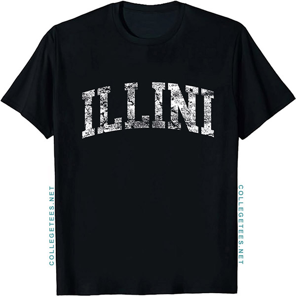 Illini Arch Vintage Retro College Athletic Sports T-Shirt