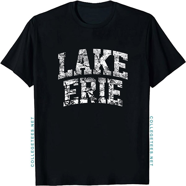 Lake Erie Arch Vintage Retro College Athletic Sports T-Shirt