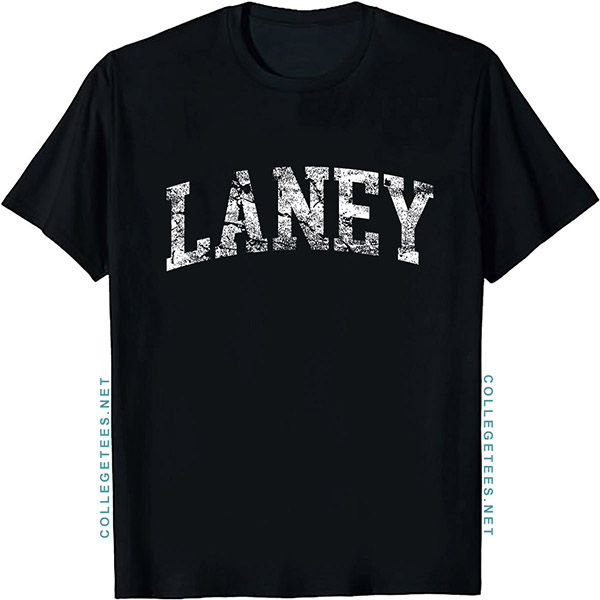 Laney Arch Vintage Retro College Athletic Sports T-Shirt