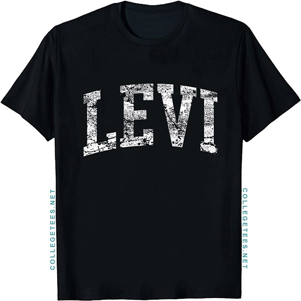 Levi Arch Vintage Retro College Athletic Sports T-Shirt