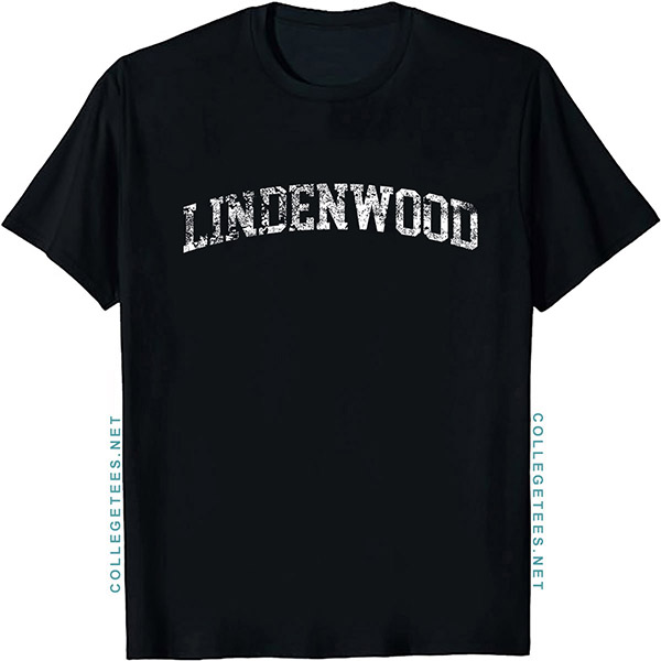Lindenwood Arch Vintage Retro College Athletic Sports T-Shirt