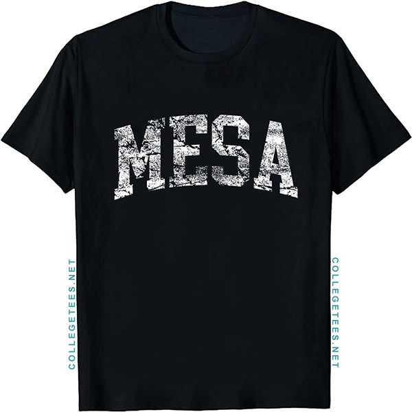 Mesa Arch Vintage Retro College Athletic Sports T-Shirt