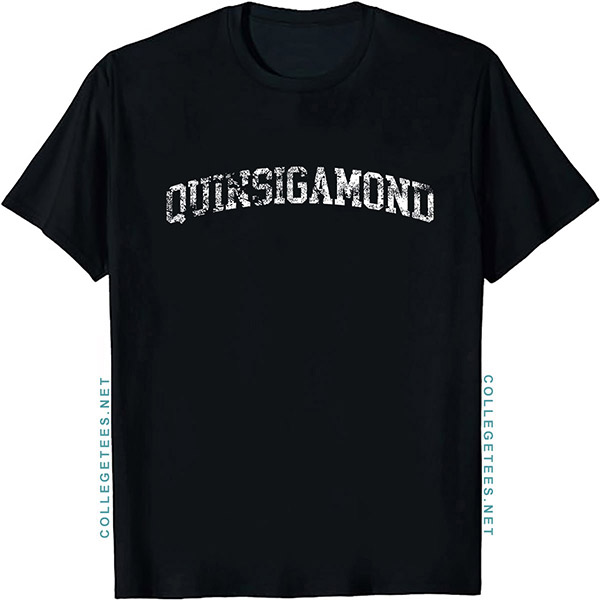 Quinsigamond Arch Vintage Retro College Athletic Sports T-Shirt