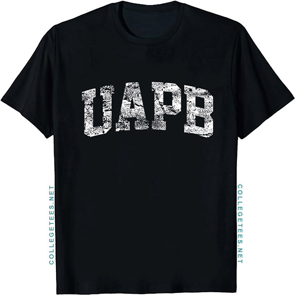 UAPB Arch Vintage Retro College Athletic Sports T-Shirt