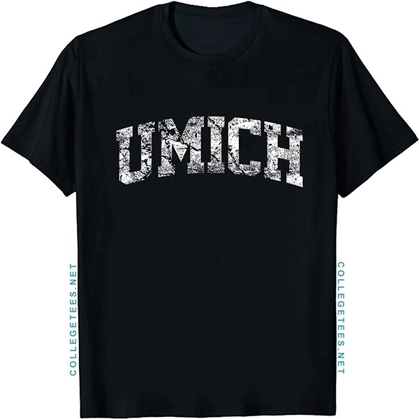 UMich Arch Vintage Retro College Athletic Sports T-Shirt