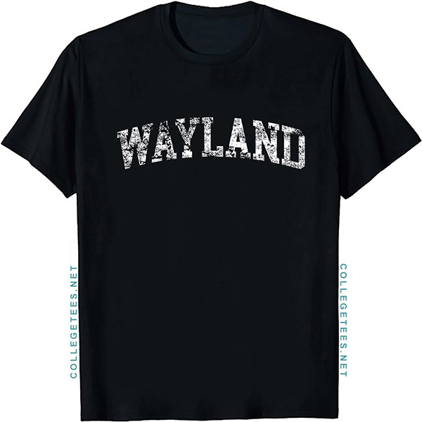 Wayland Arch Vintage Retro College Athletic Sports T-Shirt
